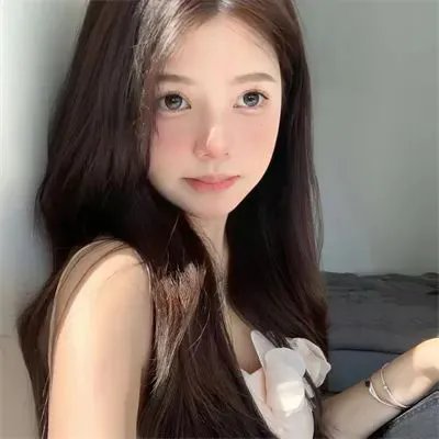 鸽之翼