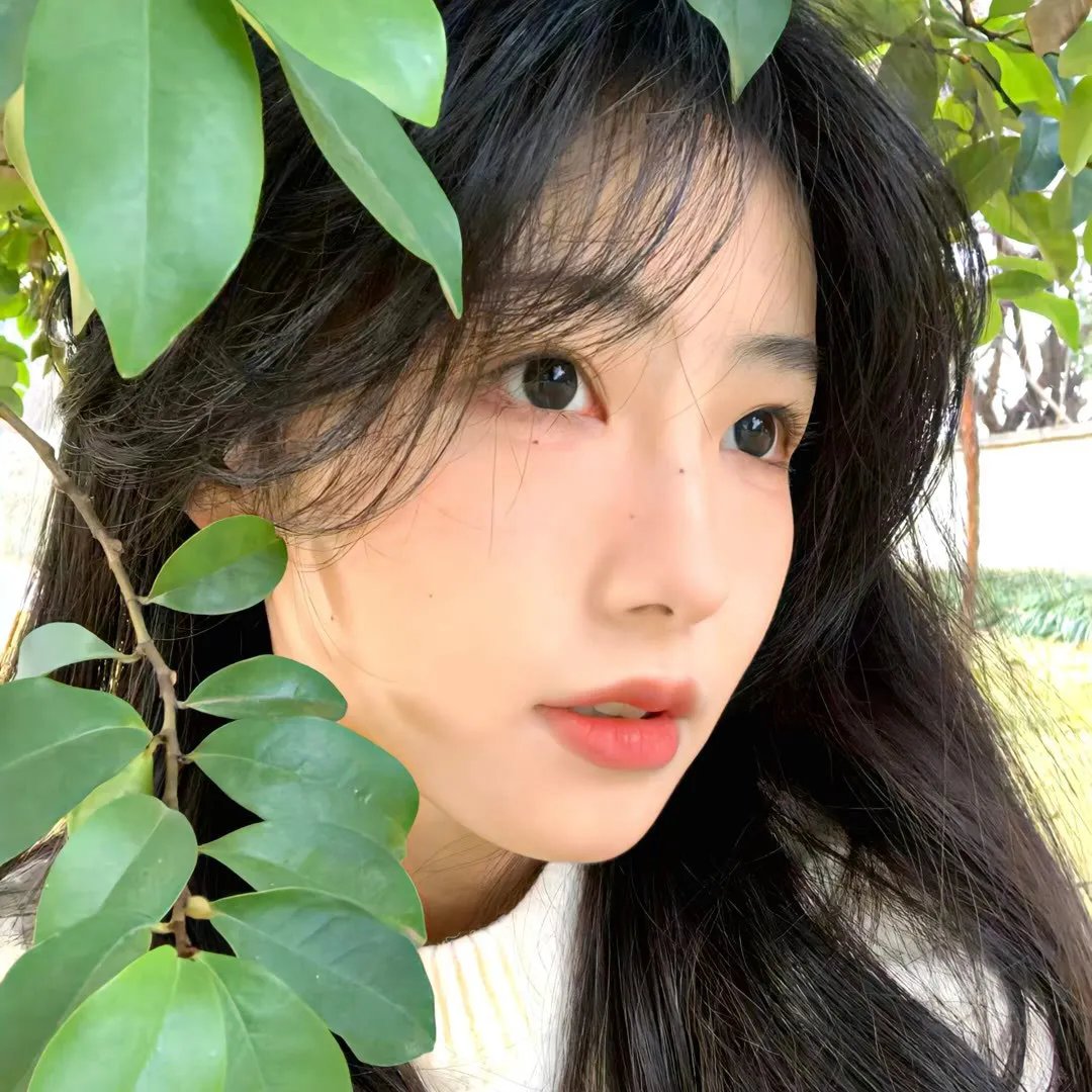 我的真爱旅程